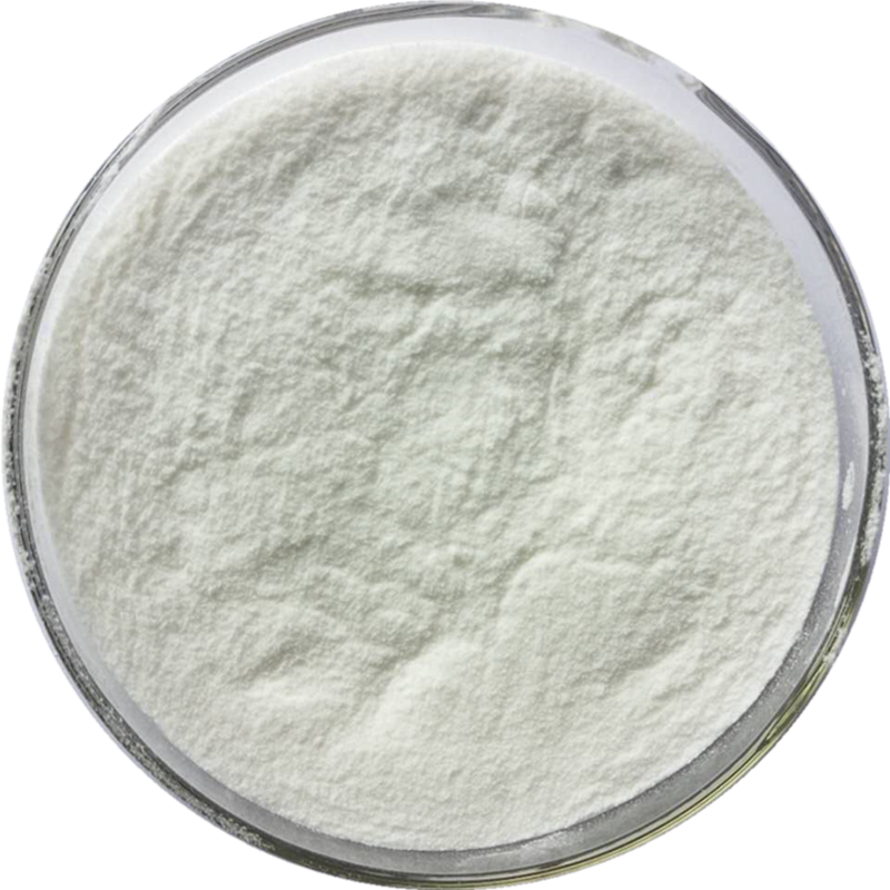 Mangosteen Powder Manufacturer - Fruit Juice Powder Premium