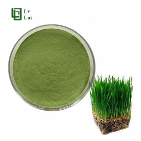 Wheat Grass Powder Factory - Whole Grass Vitamin Extract