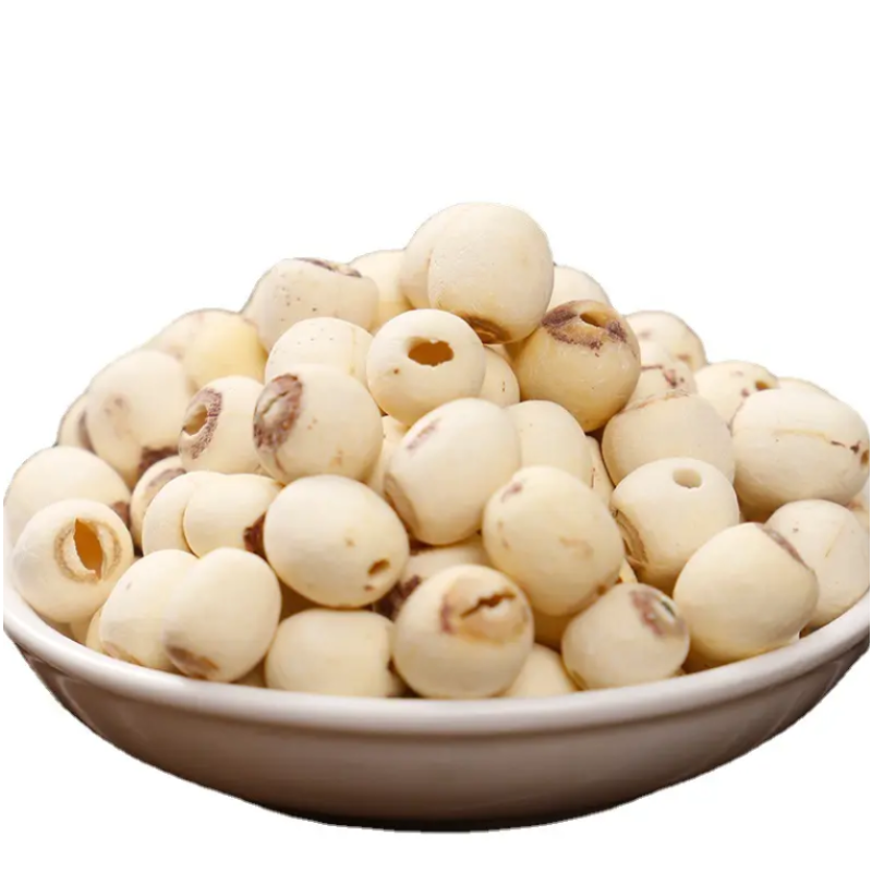 Alfalfa Tea Factory - Burdock Root Flavor Health