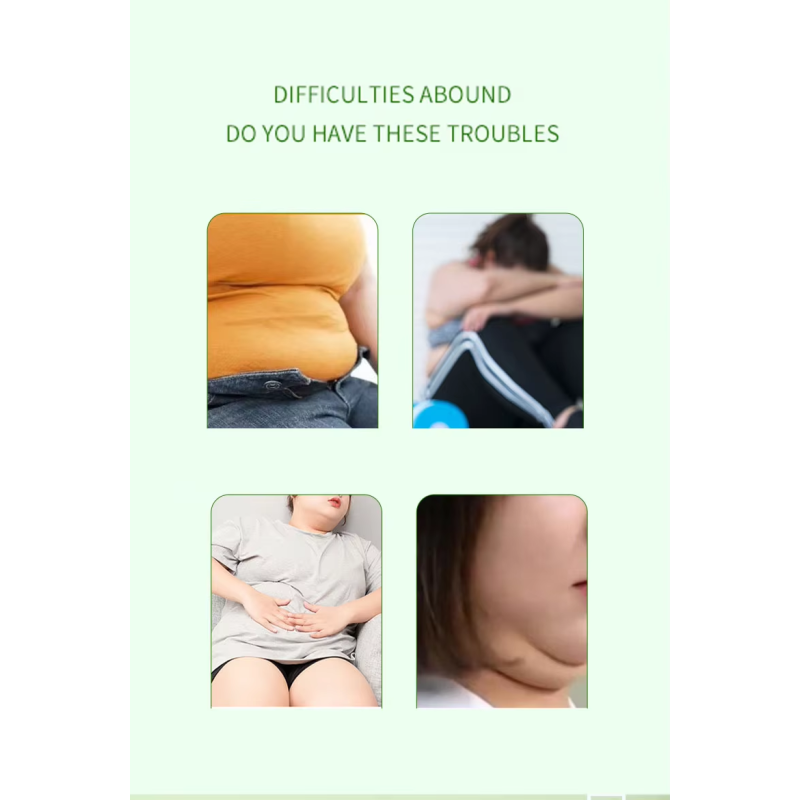 Freeze Dried Tea Supplier - Fresh Fruit Slices Health