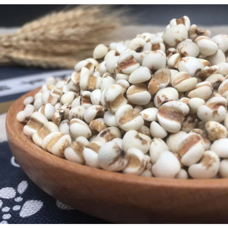 Celery Seed Powder Factory - Extract Powder Raw Material