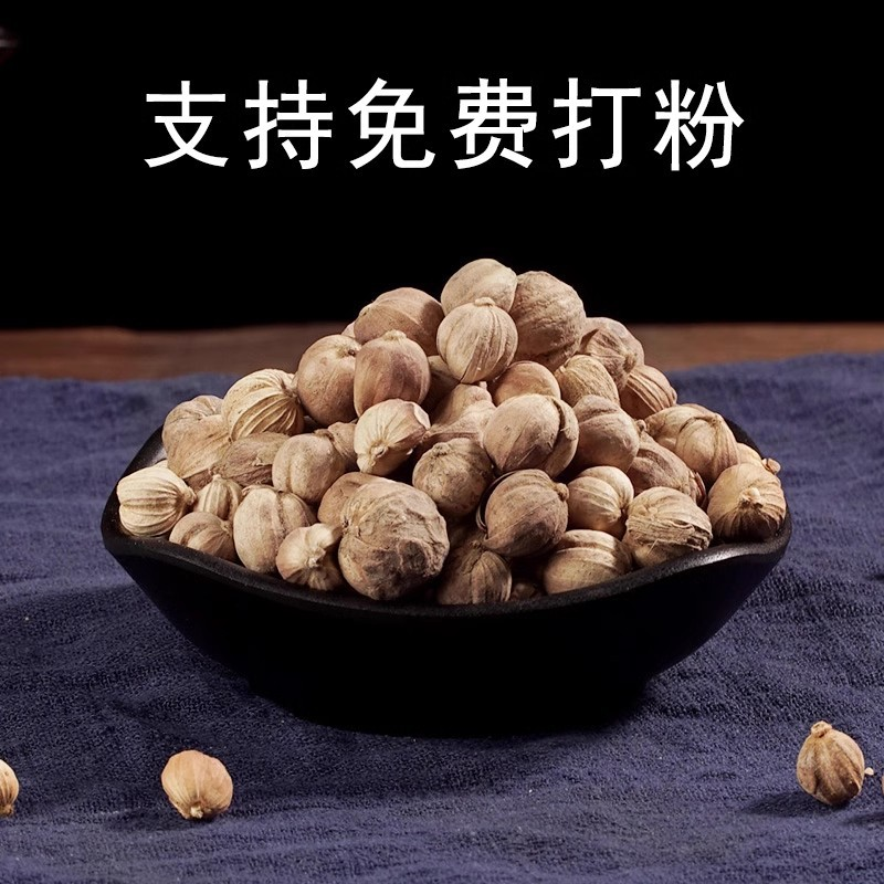 Dandelion Root Factory - Cost Effective Spices Wholesale