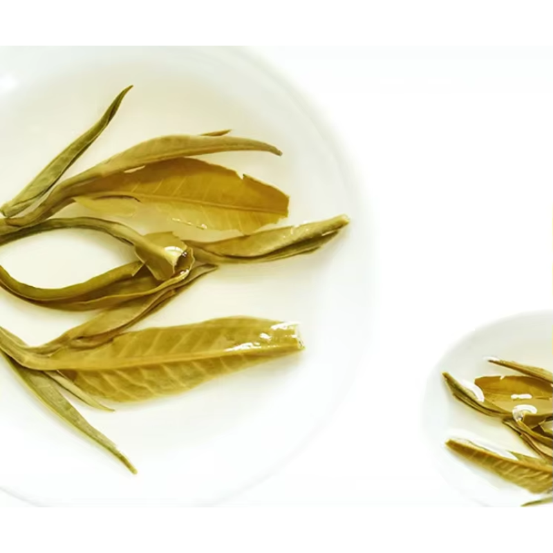 Chrysanthemum Tea Factory - Seven Color Blooming Artistic