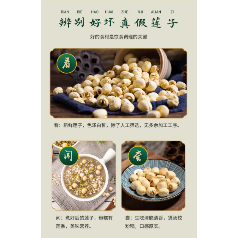 Alfalfa Tea Factory - Burdock Root Flavor Health