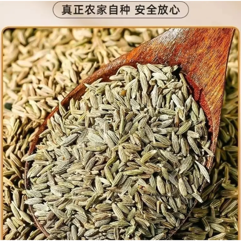 Rosemary Spices Factory - Assorted Variety Bulk Supply