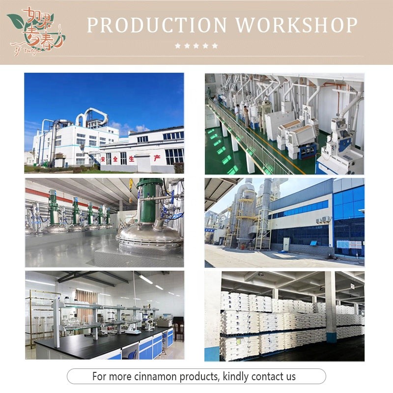 Herbal Tea Supplier - Bulk Wholesale Competitive