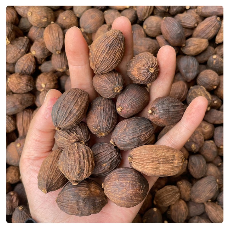 Fructus Tsaoko Factory - Dried Spices Cheap Price