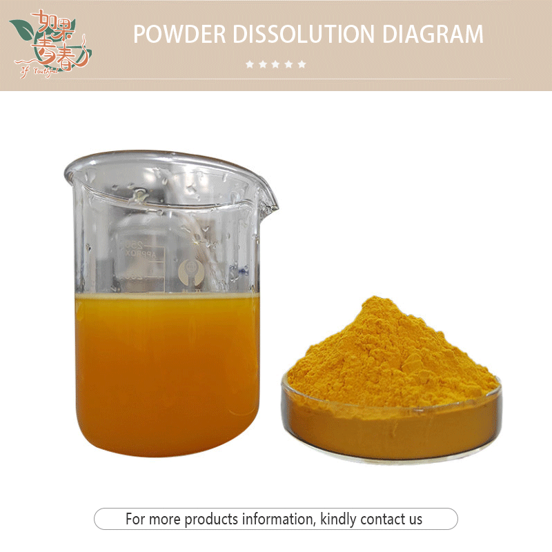 Turmeric Powder Manufacturer - Dried Fingers Curcumin Bulk