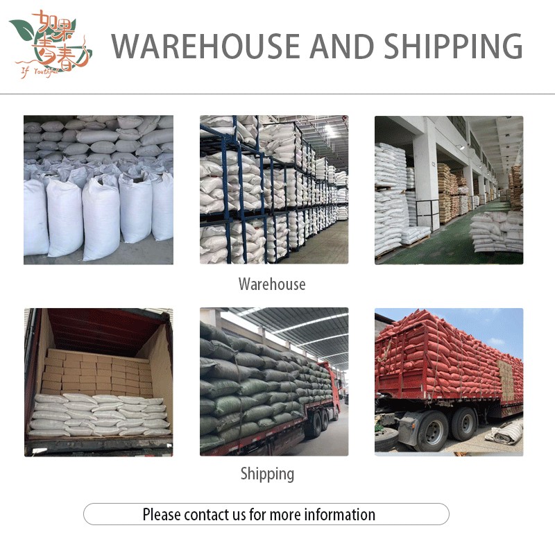 Lavender Flowers Factory - Natural Color Custom