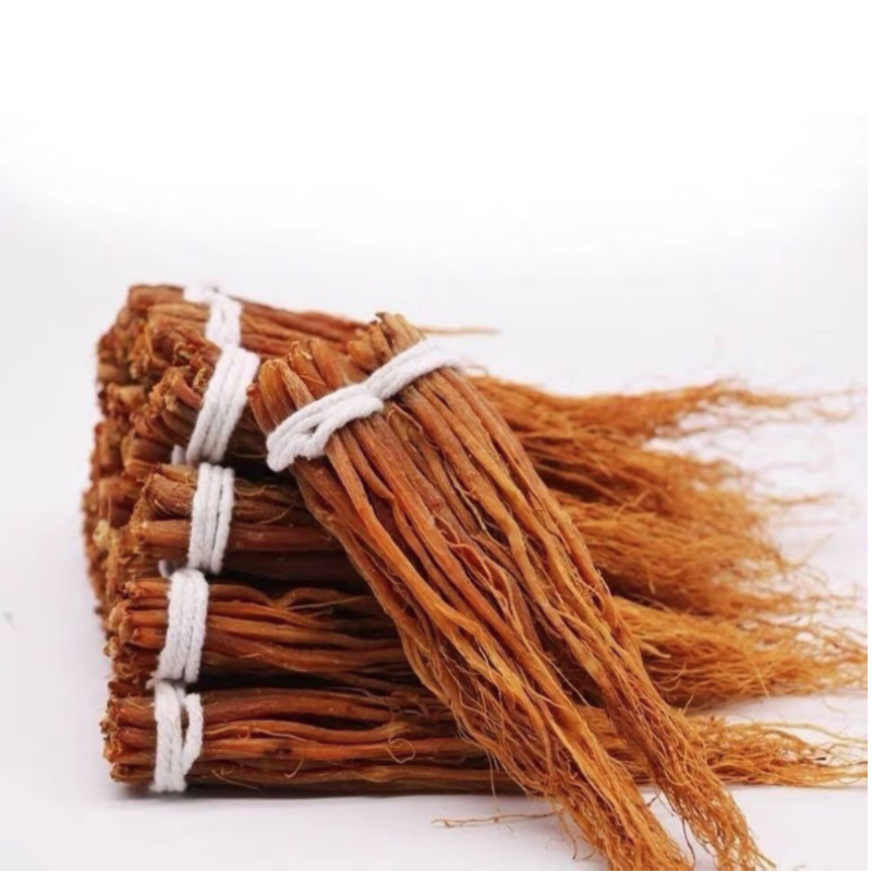 Red Ginseng Supplier - Root Beard Fresh Stock