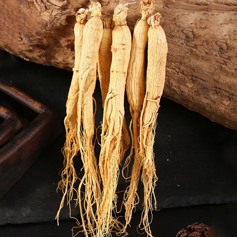 Ginseng Root Factory - Natural Cultivated Whole
