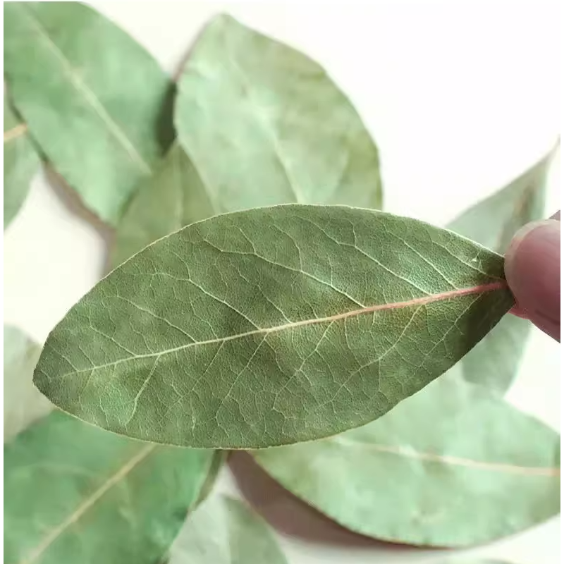 Bay Leaves Factory - Dehydrated Organic Natural Bulk
