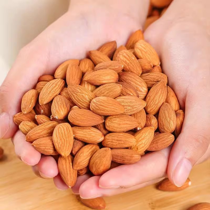 Apricot Kernels Supplier - Bitter Nuts Organic Bulk