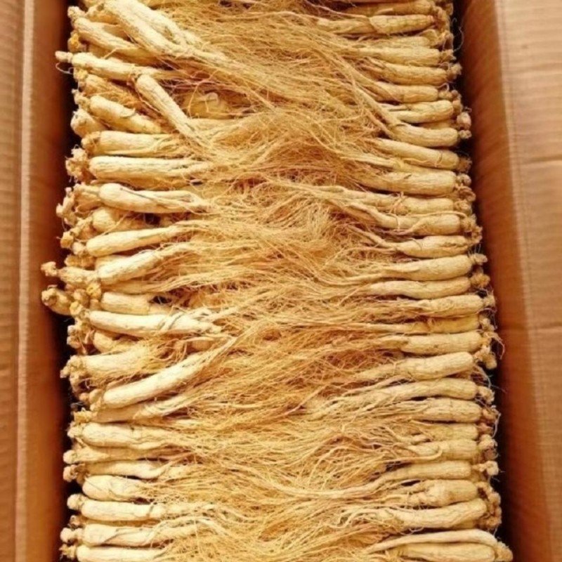 Ginseng Root Factory - Natural Cultivated Whole