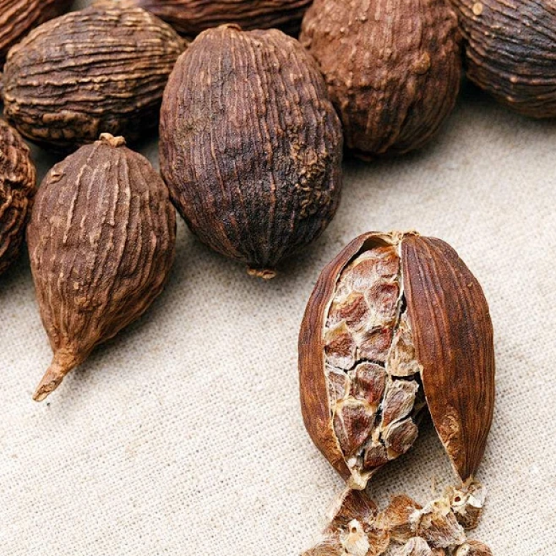 Black Cardamom Supplier - Single Herb Dried Fructus