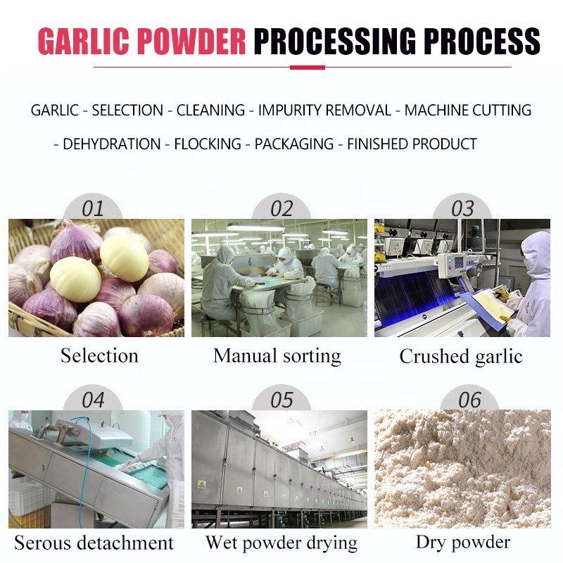 Garlic Powder Supplier - Fresh Powder Low Price
