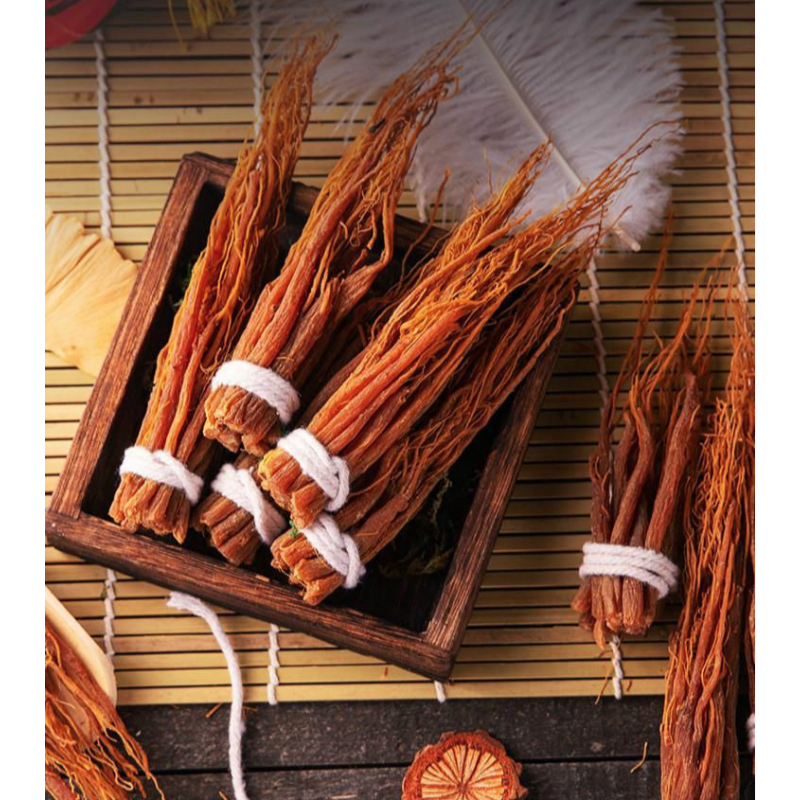 Red Ginseng Supplier - Root Beard Fresh Stock