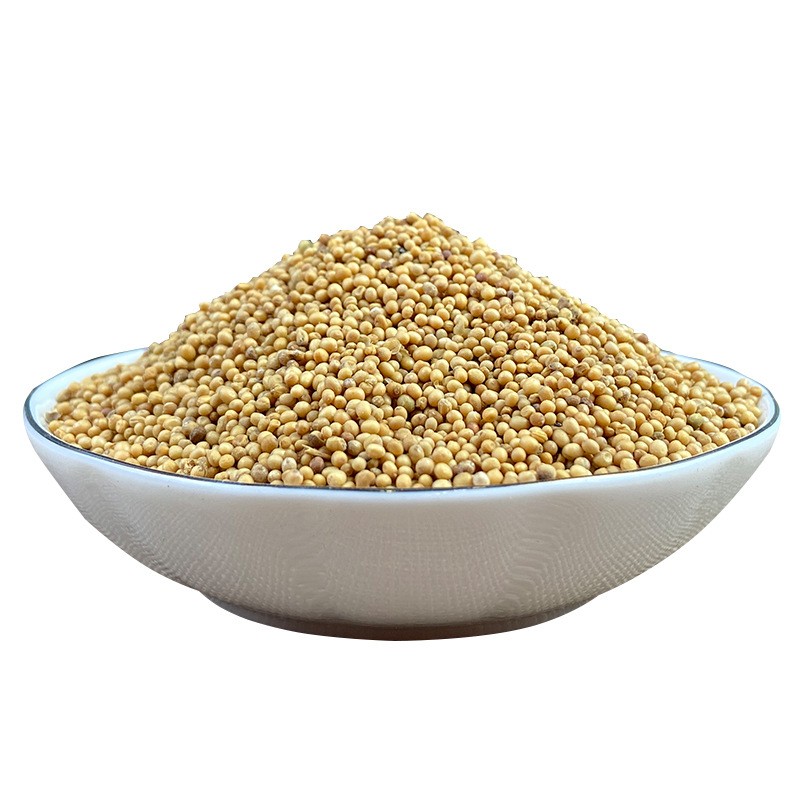Mustard Seeds Supplier - Yellow Dried Spices Kitchen
