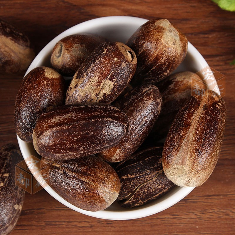 Long Nutmeg Supplier - Shell Spices Seasoning Bulk