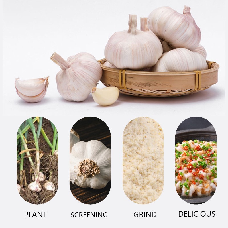 Garlic Powder Supplier - Seasoning 5kg Pack Bulk