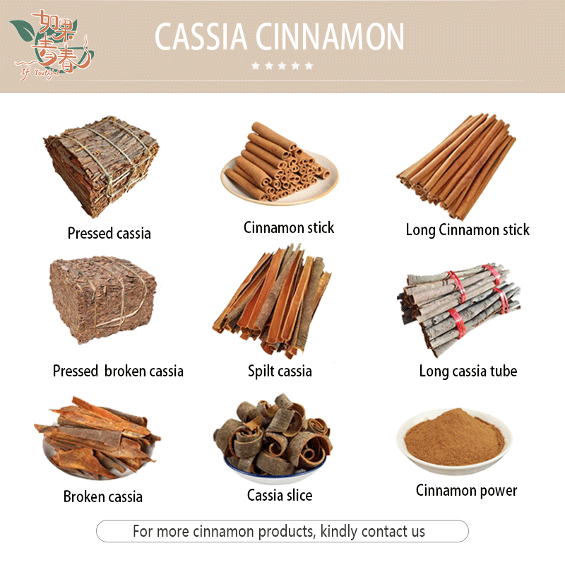 Basil Seeds Manufacturer - Natural Seeds Ready