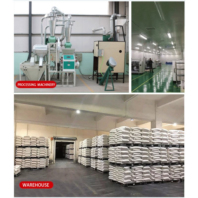 Turmeric Powder Manufacturer - Dried Fingers Curcumin Bulk