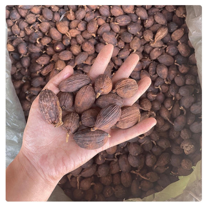 Black Cardamom Supplier - Single Herb Dried Fructus