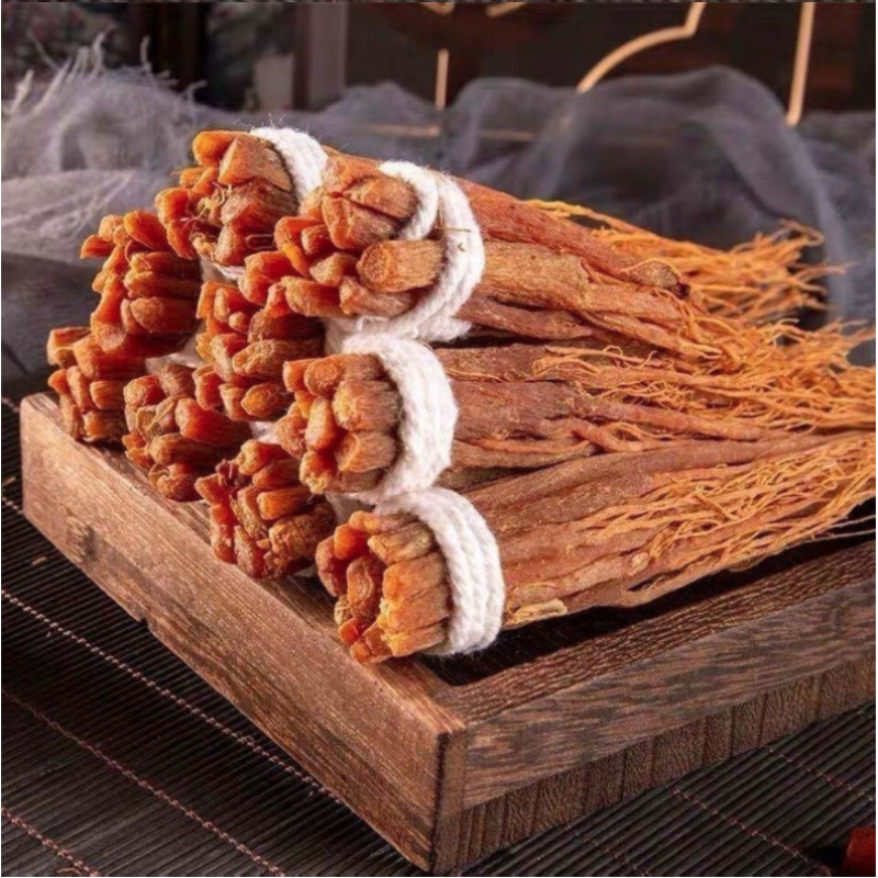 Red Ginseng Supplier - Root Beard Fresh Stock