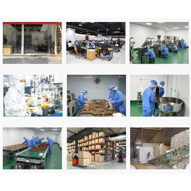 Ginseng Root Factory - Natural Dried White Ginseng