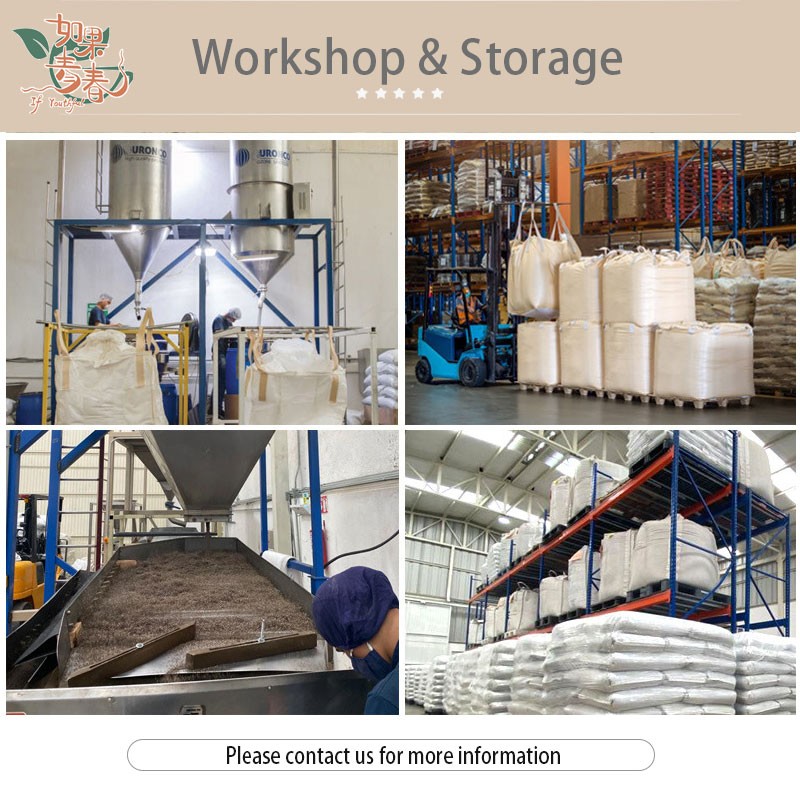 Chia Seeds Supplier - Natural Dried Seeds Bulk