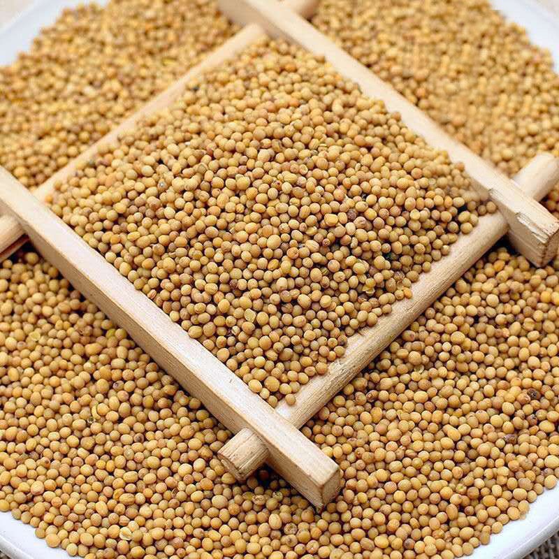 Mustard Seeds Supplier - Yellow Dried Spices Kitchen