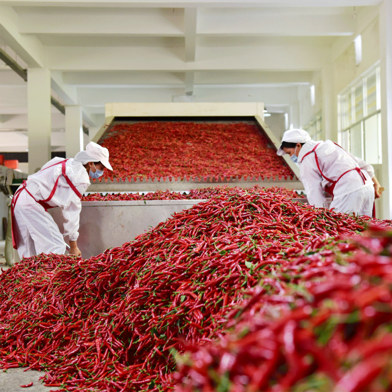 Chia Seeds Supplier - Workout Meal Replacement