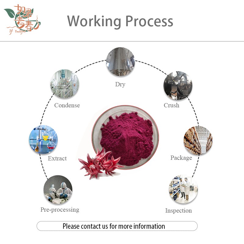 Hibiscus Powder Factory - Dried Flower Grind