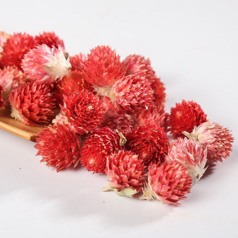 Globe Amaranth Tea Supplier - Red Hong Qiao Mei