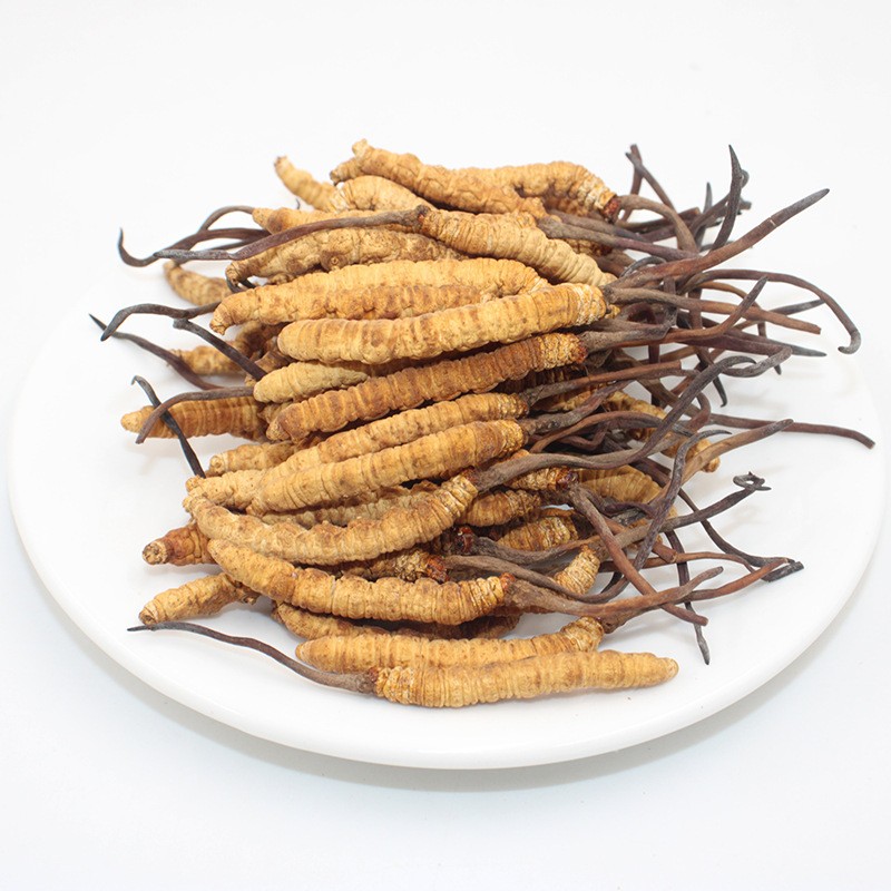 Cordyceps Mushroom Supplier - Freeze Dried Whole