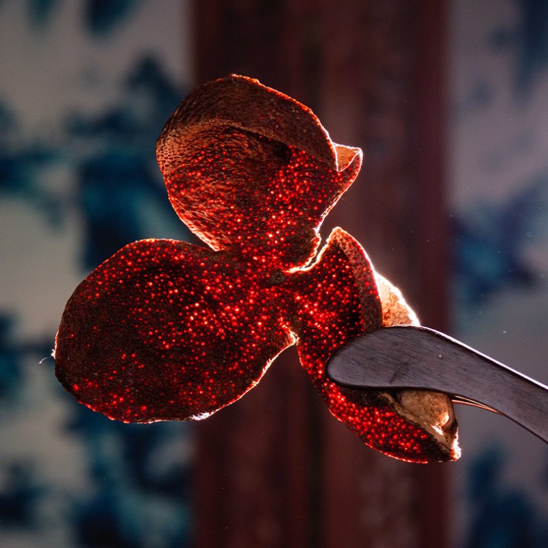 Tangerine Peel Supplier - Xinhui 10 Years Aged