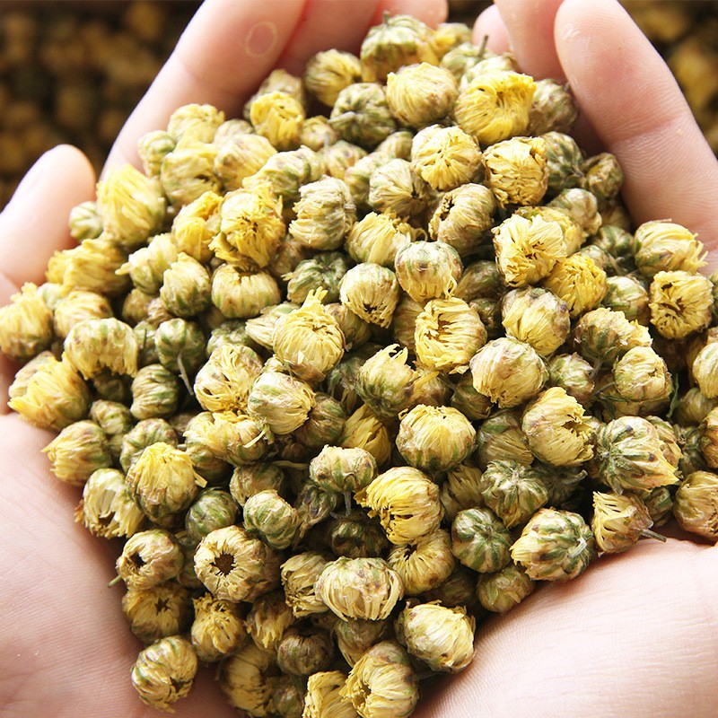 Chrysanthemum Tea Factory - Fetal Flower Quality