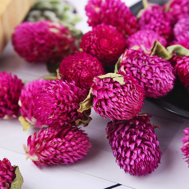 Gomphrena Flower Tea Manufacturer - Qian Ri Hong Bulk
