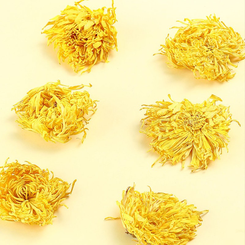 Golden Chrysanthemum Tea Supplier - Silk Royal Flower