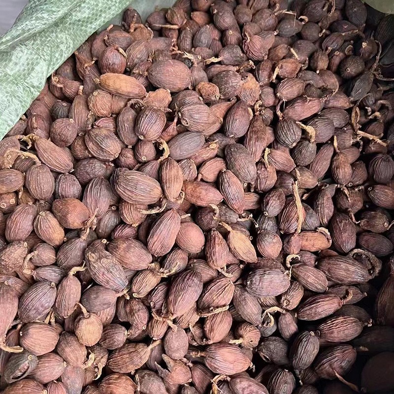 Black Cardamom Supplier - Cao Guo Herb Spice