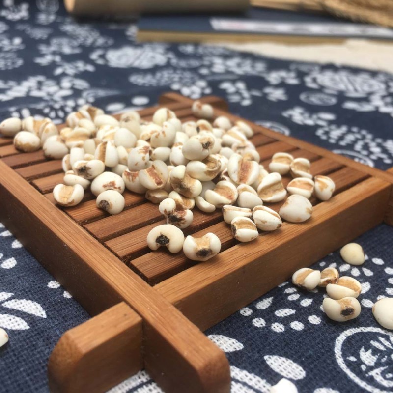 Coix Seed Powder Supplier - Job's Tears Extract