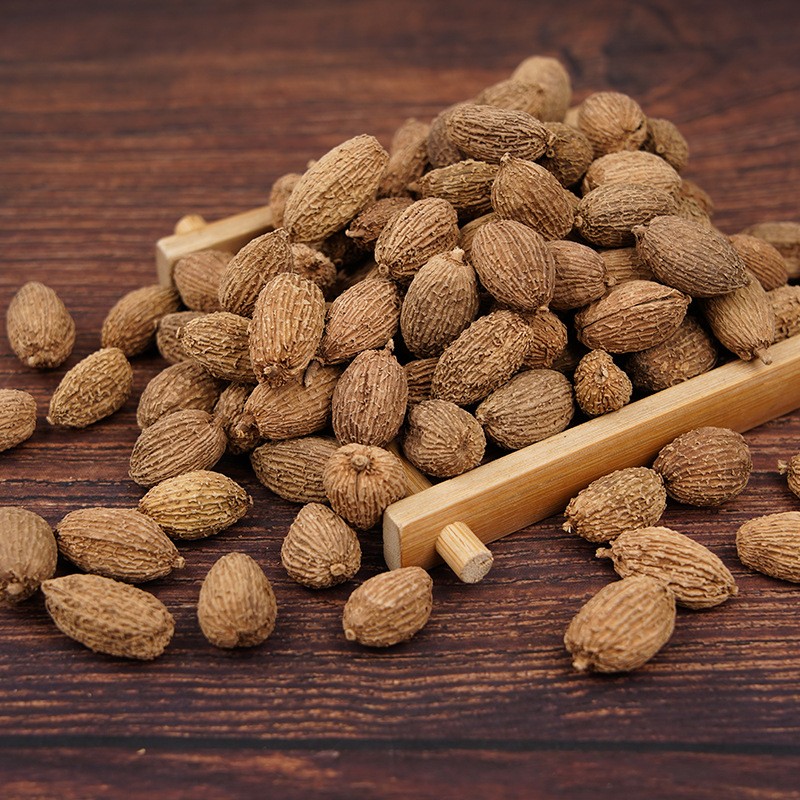 Amomum Fruit Supplier - Yang Chun Sha Medicinal