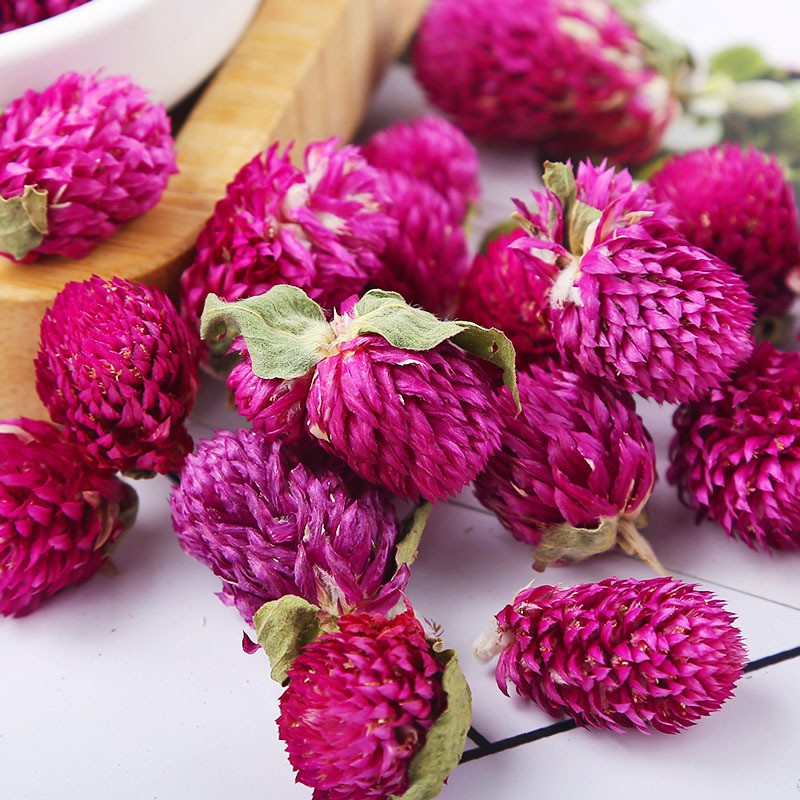 Gomphrena Flower Tea Manufacturer - Qian Ri Hong Bulk