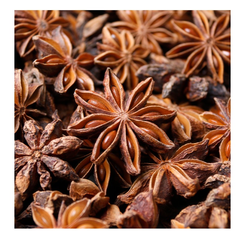 Star Anise Supplier - Organic Chinese Spice