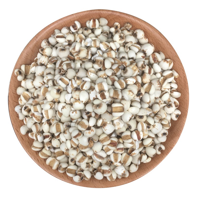 Coix Seed Powder Supplier - Job's Tears Extract