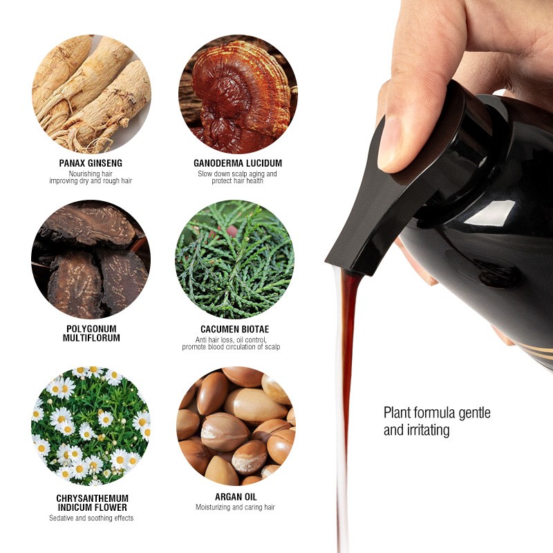 Natural Argan Oil Extract Plant Permanent Black Hair Color Dye Shampoo for Covering Gray Hair