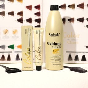 China Professional Manufacturer Kooswalla Organic and Low Ammonia Hair Color Dye