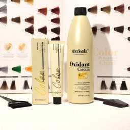 Factory Wholesale Fashion and Beautiful Hair Color Ammonia Free Permanent Hair Dye Color