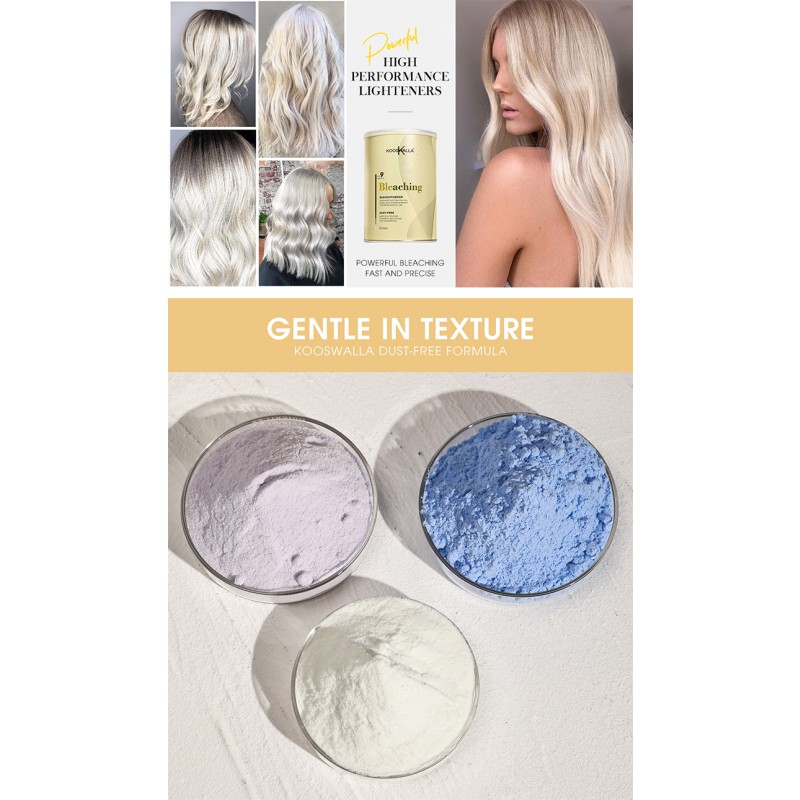 2024 New Arrival Permanent Herbal Dust-Free Bleaching Powder Hair Color Dye Lightener