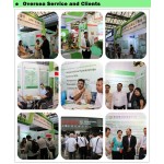 Fruit&Vegetable Powder